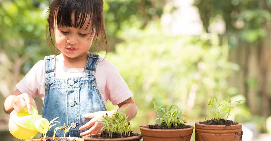 From Screen Time to Green Time: Balancing Online Learning with Outdoor Activities Dreamtime Learning School