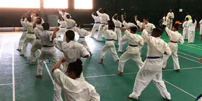 Karate